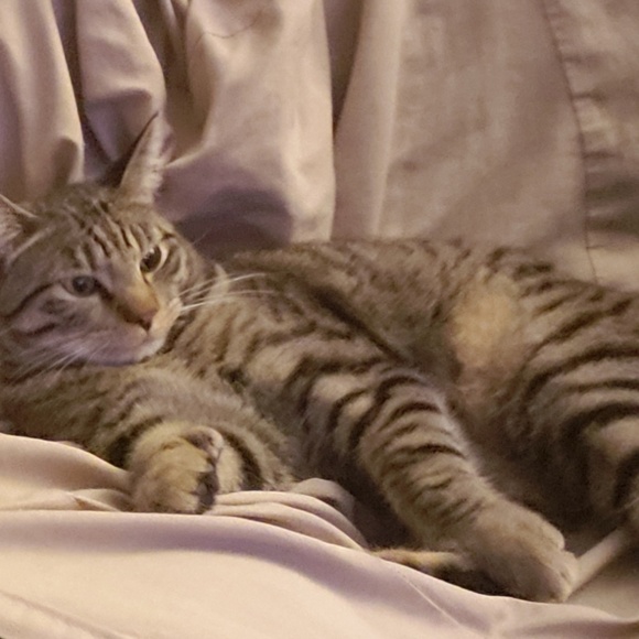 Meet your Posher, Wendie - Picture 3 of 8